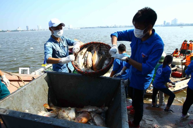 Hà[-]Nội:[-]Huy[-]động[-]bộ[-]đội[-]vớt[-]cá[-]chết[-]trên[-]hồ[-]Tây